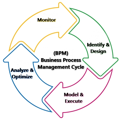 Business Process Management Process (BPM)