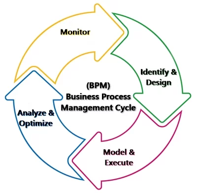 Business Process Management Process (BPM)