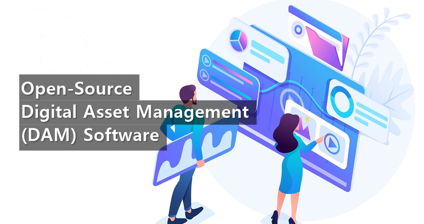 top digital asset management tools