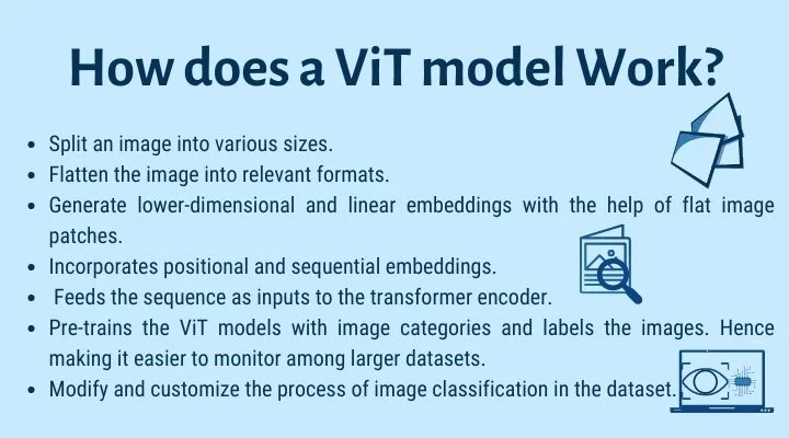 How does a ViT model Work